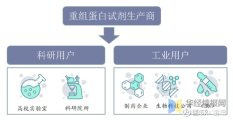 重組蛋白科研試劑的國(guó)內(nèi)市場(chǎng)分析